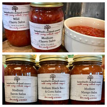 Load image into Gallery viewer, Salsa - Assorted Flavors